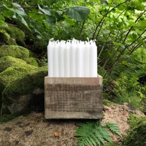 bild_for_nedladdning_1 bild för nedladdning 1